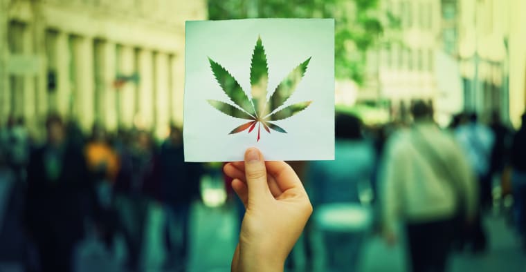 8 Things To Know About Marijuana And Your Insurance Valuepenguin