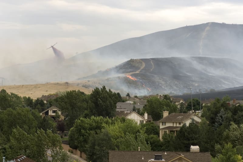 How Does California FAIR Plan Insurance Work? ValuePenguin