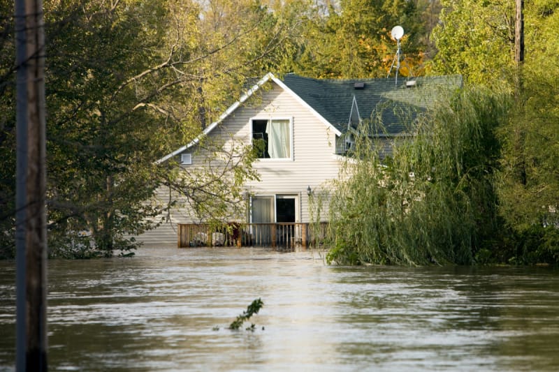 Average Cost of Flood Insurance 2021 ValuePenguin