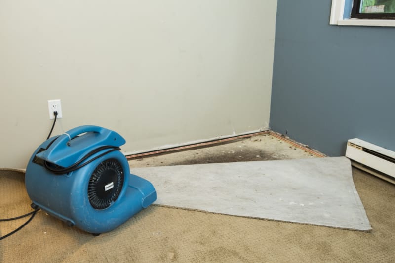 Does Homeowners Insurance Cover Plumbing And Pipe Leaks Valuepenguin
