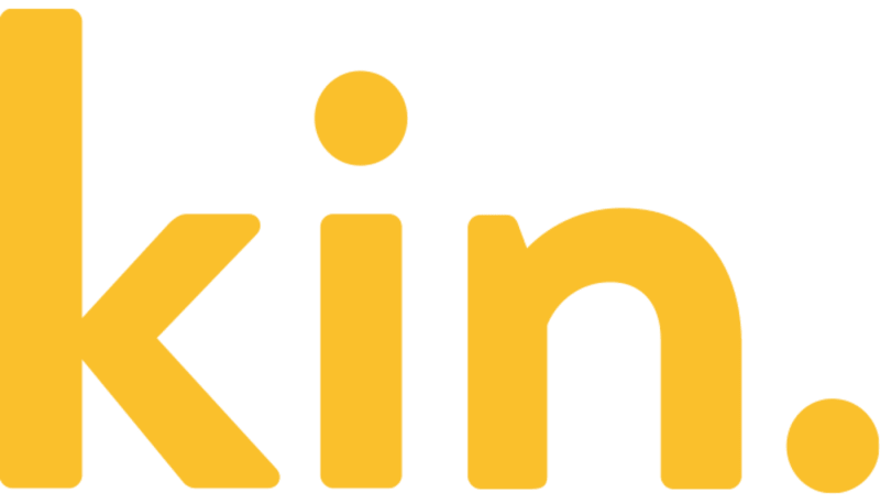 Kin Home Insurance Review: Cheap Rates Coupled With Maximum Convenience