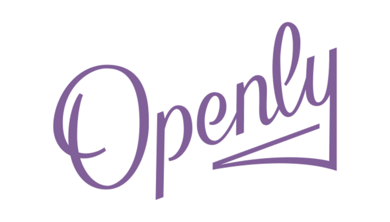 Openly Home Insurance Review ValuePenguin