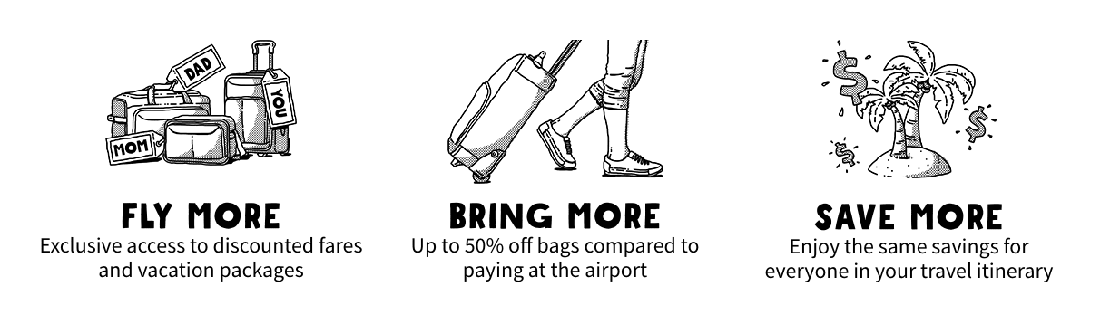 spirit baggage rates