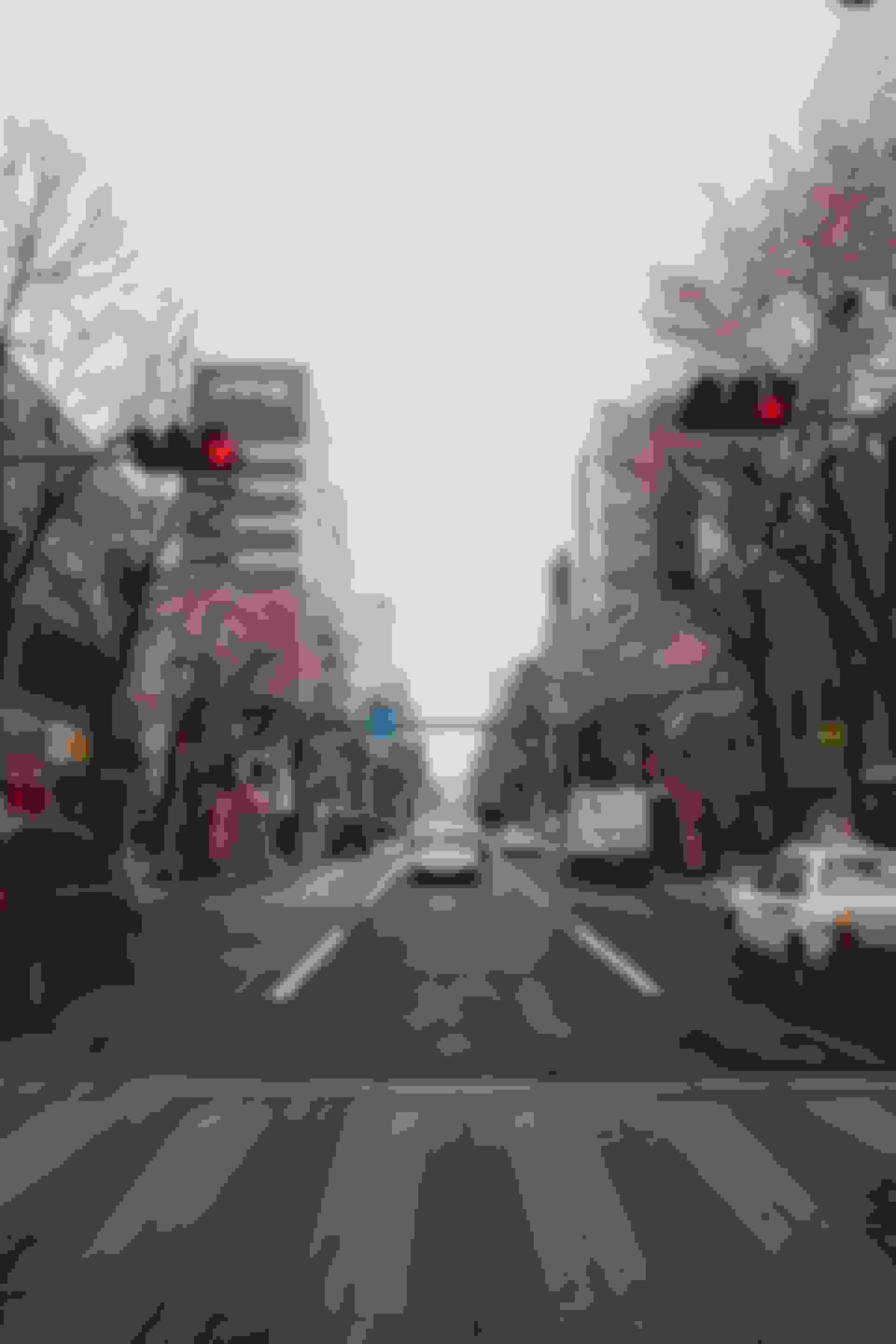 japan cherry blossom street