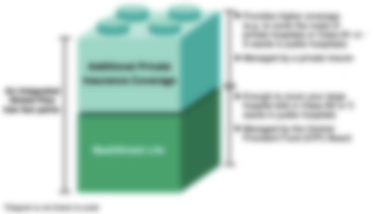 Detailed diagram of Integrated Shield Plans