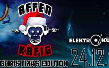 Affenkäfig X-Mas Rave in der Elektroküche