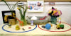 20180206_155131.jpg Learning about living & non-living things