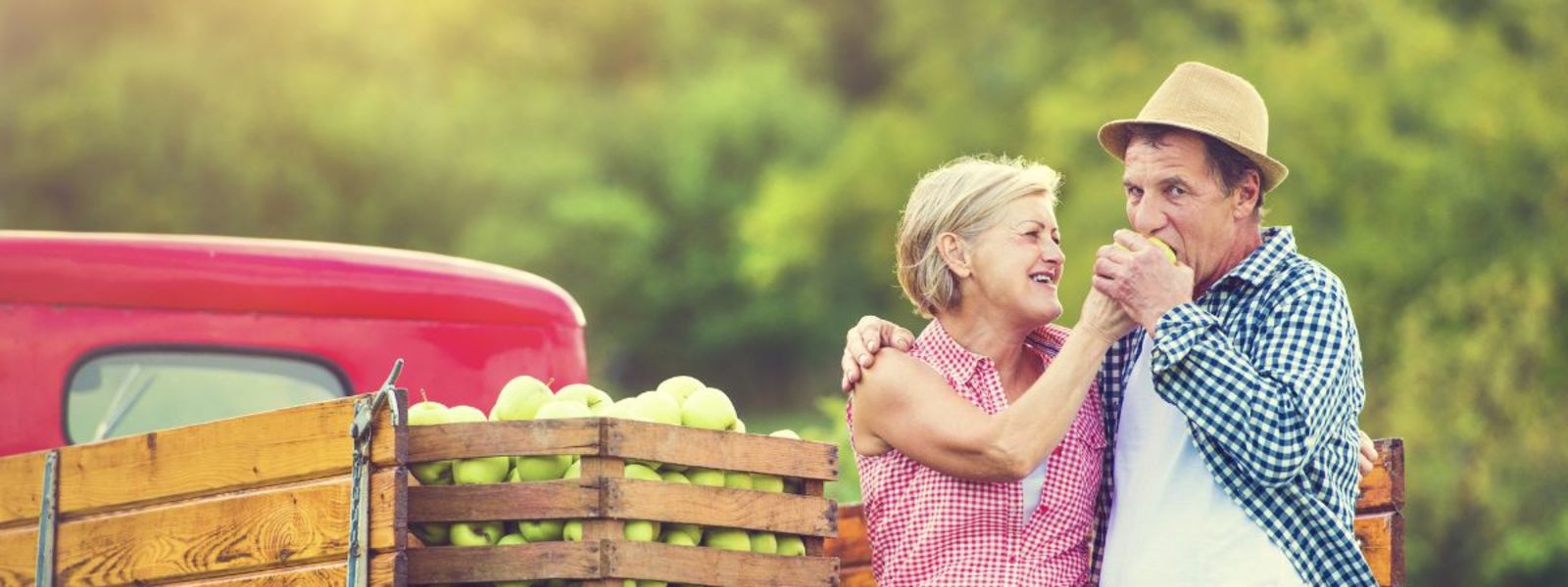 Egyszerűsített foglalkoztatás szabályai cover