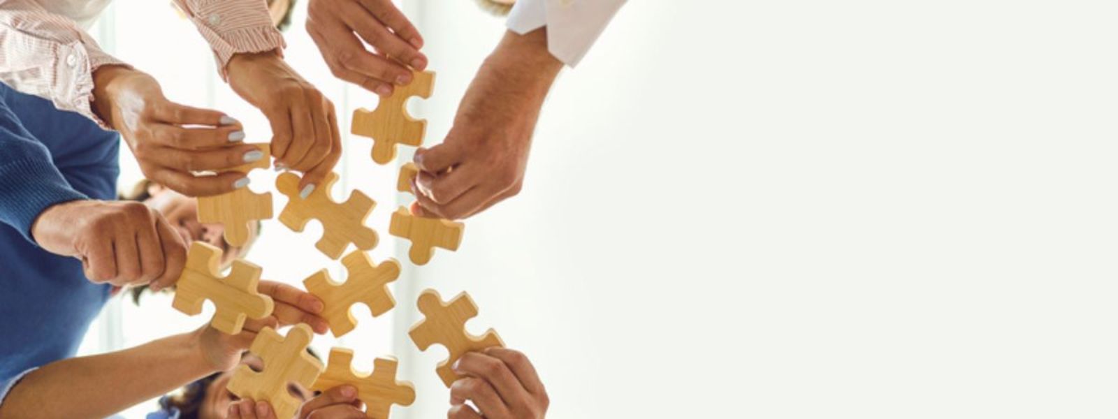 A szervezetfejlesztés lépései