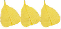 Willow Leaves sale