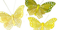 Feather Butterflies sale