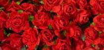 Paper Roses for Card Making sale