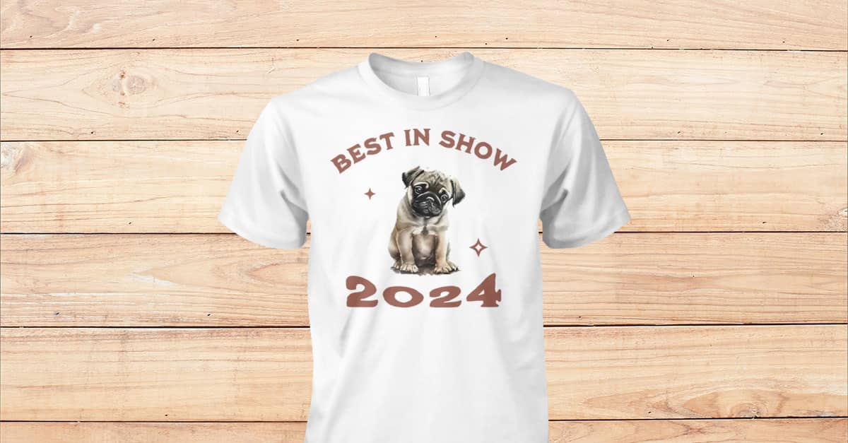 Best In Show Dog 2024 Crufts 2024: Australian Shepherd Named