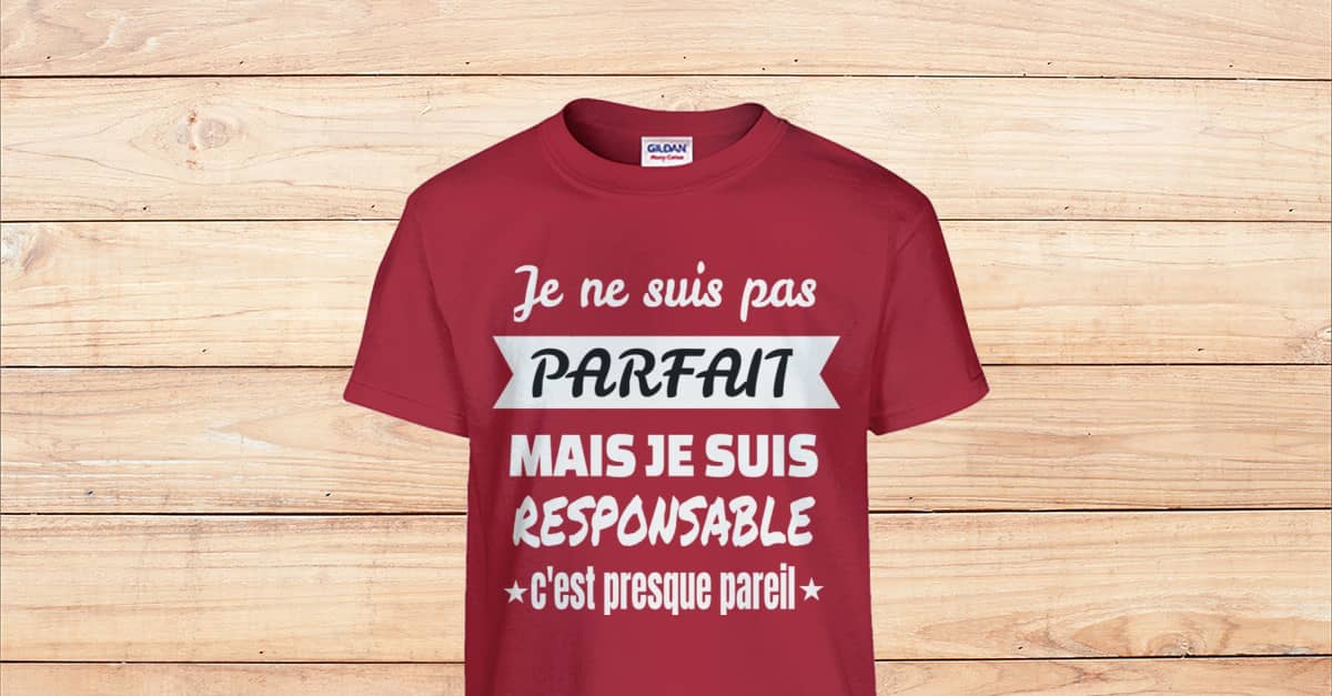 Je ne suis pas parfait mais je suis responsable Viralstyle