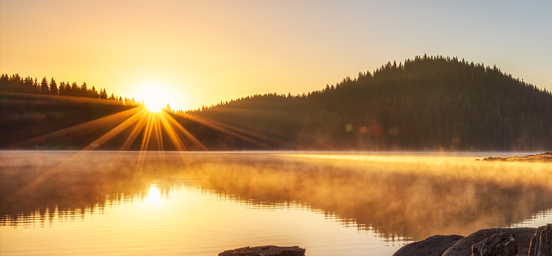 Morning Light