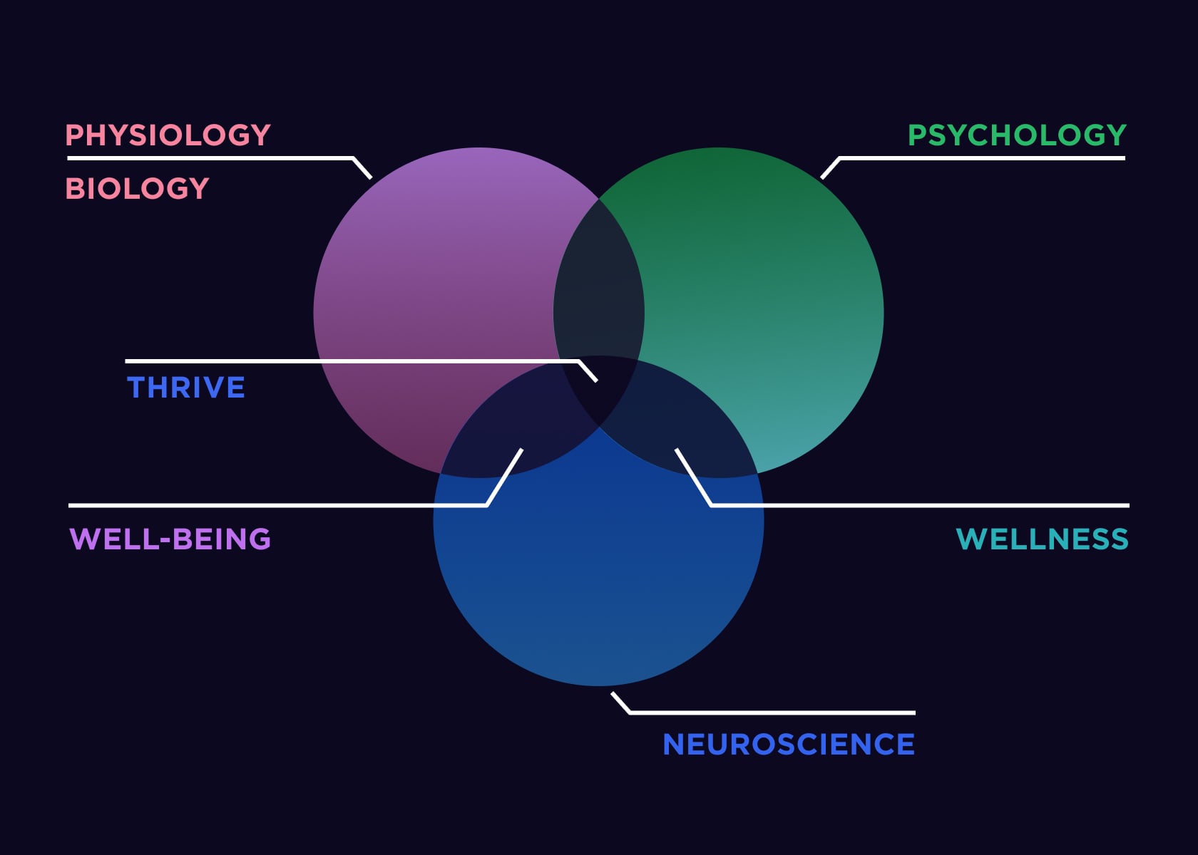 Health Diagram