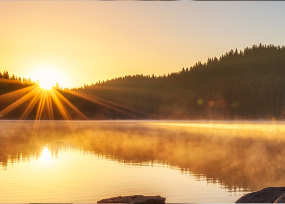 Morning Light