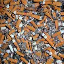 La raie nette (1000 jours après)