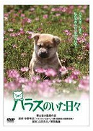 ハラスのいた日々