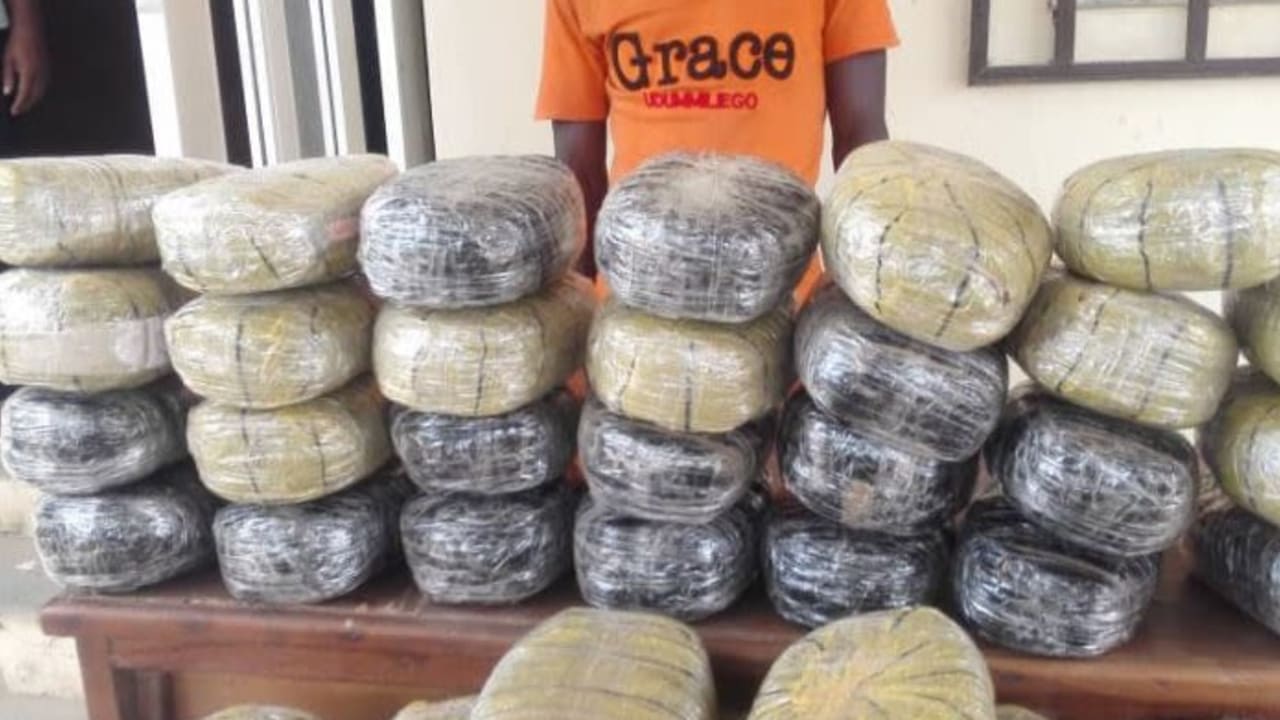 Ashoko, most wanted drug baron busted in Nasarawa Ashoko, most wanted drug baron busted in Nasarawa