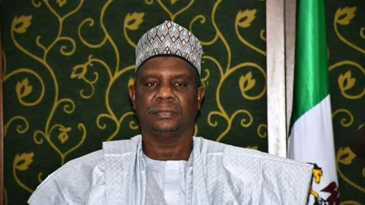 Bauchi Council Elections: We have silenced critics, says deputy-governor Bauchi Council Elections: We have silenced critics, says deputy-governor