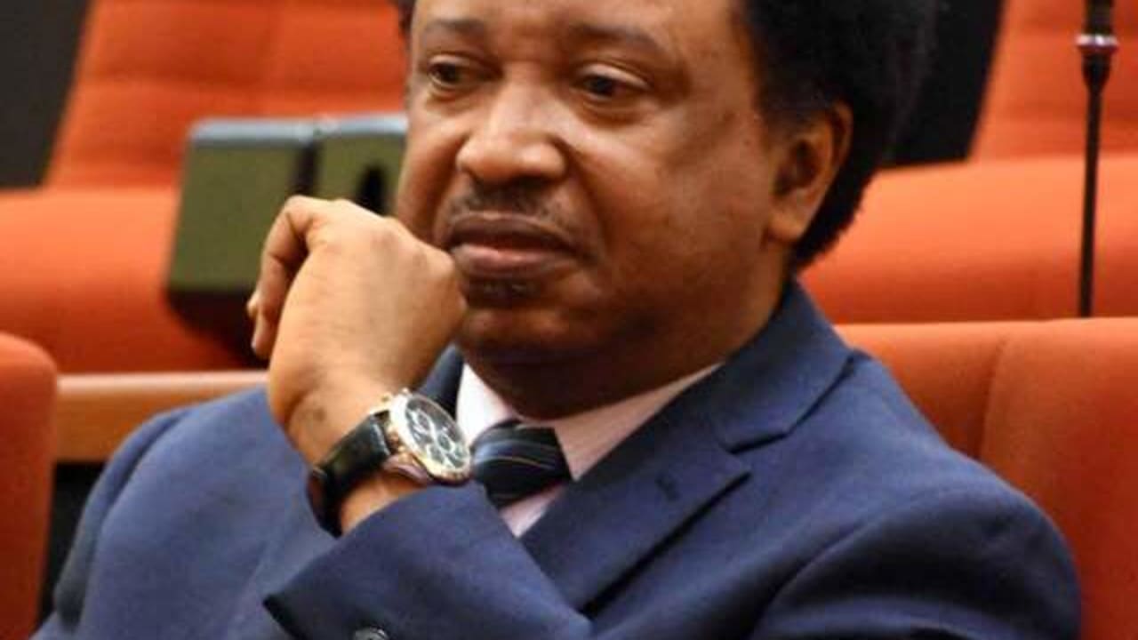 Shehu Sani sends warning over ”Exercise Crocodile Smile” Shehu Sani sends warning over ”Exercise Crocodile Smile”
