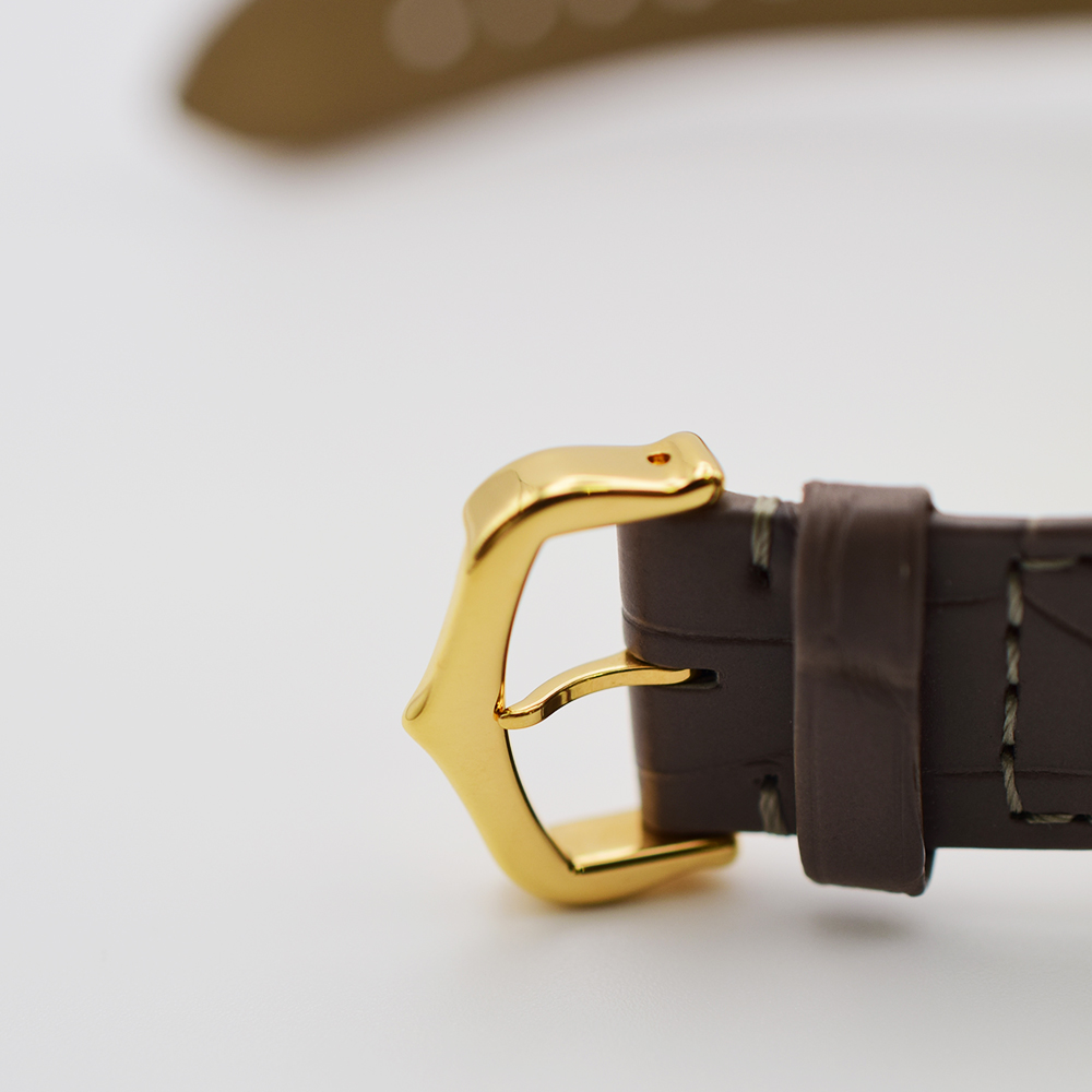 Santos-Dumont Yellow Gold Taupe Grey Dial Limited Edition 31mm Product Image 6