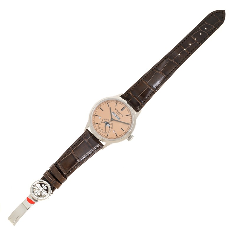 Grand Complications In-line Perpetual Calendar Platinum Salmon dial 41mm Product Image 3