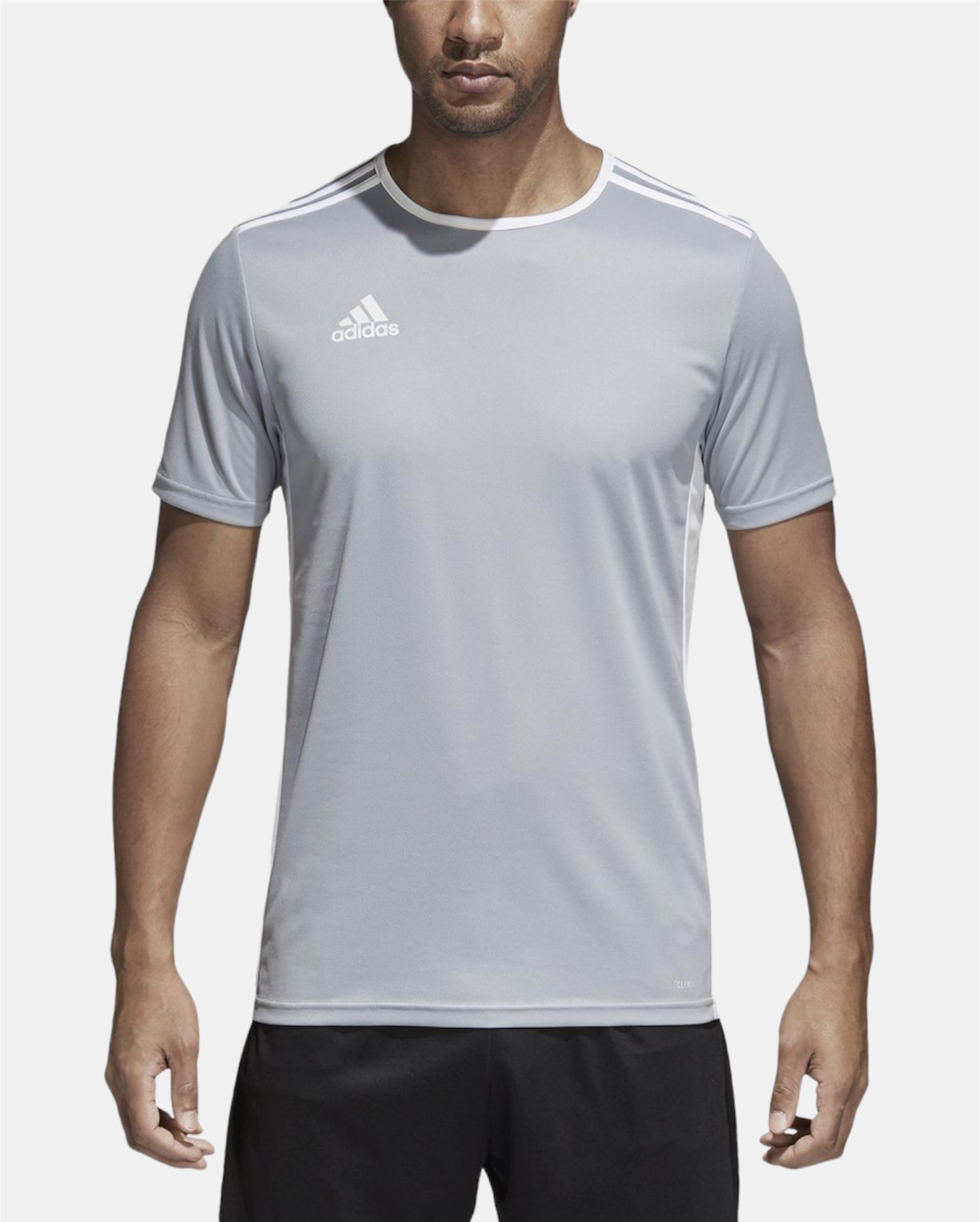 ENTRADA JERSEY