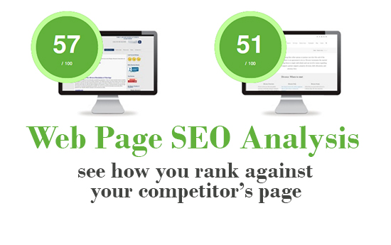 Free SEO Checker