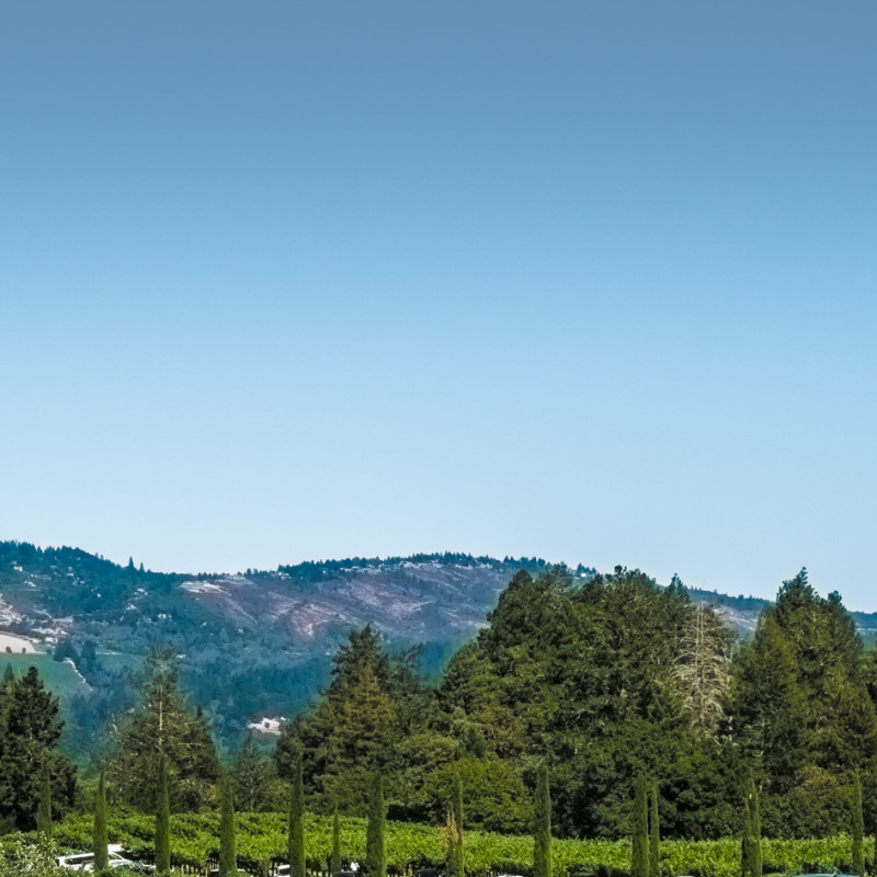 Napa valley