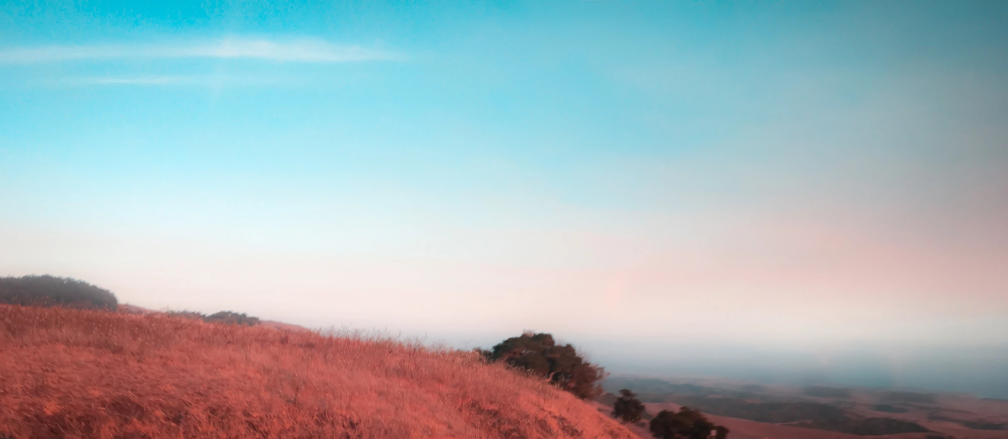 hearst-castle/11.v1
