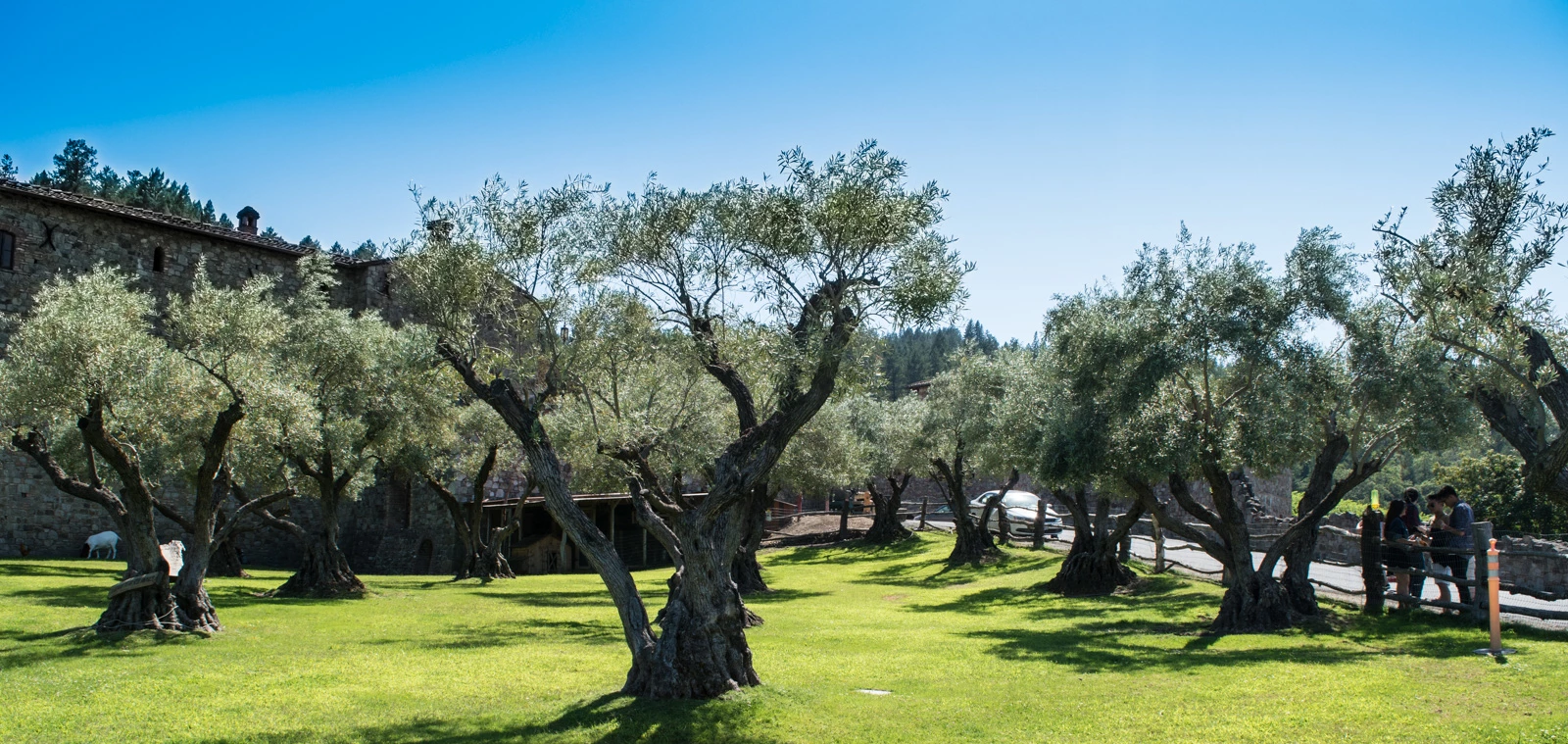 napa-valley/9