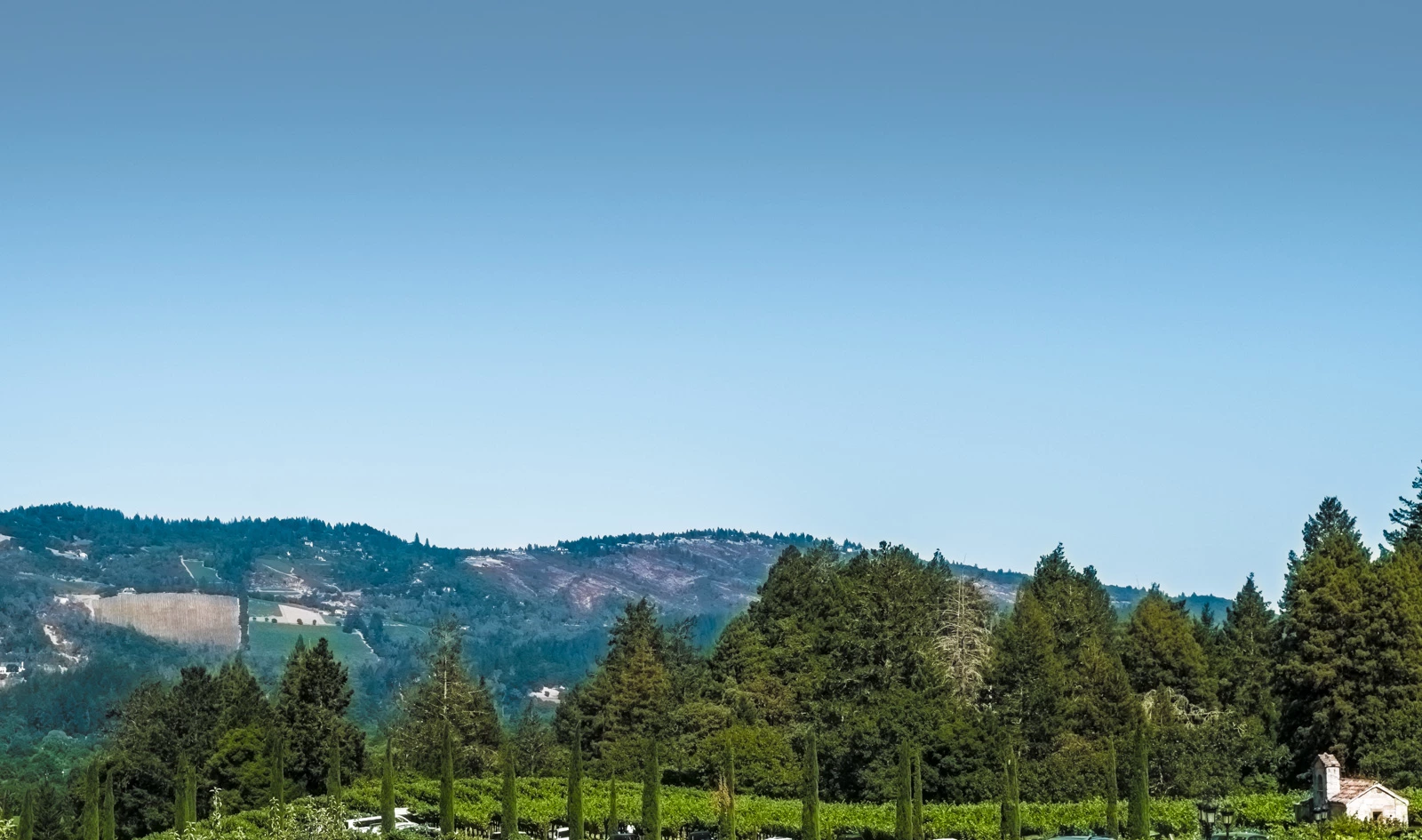 napa-valley/cover/cover.v1