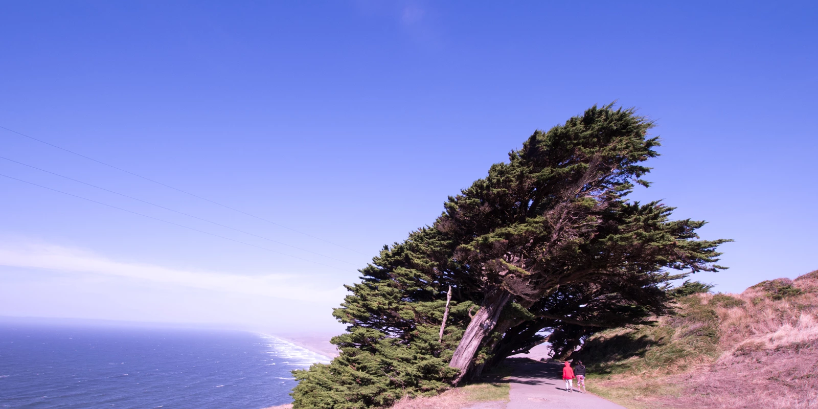 point-reyes/12