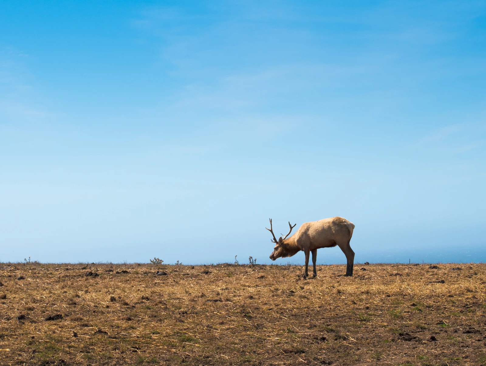 point-reyes/9
