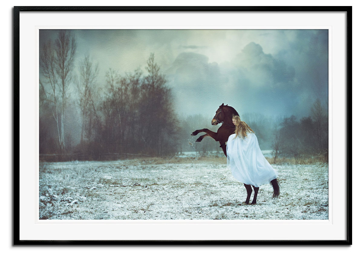 Dances with the Horse by 