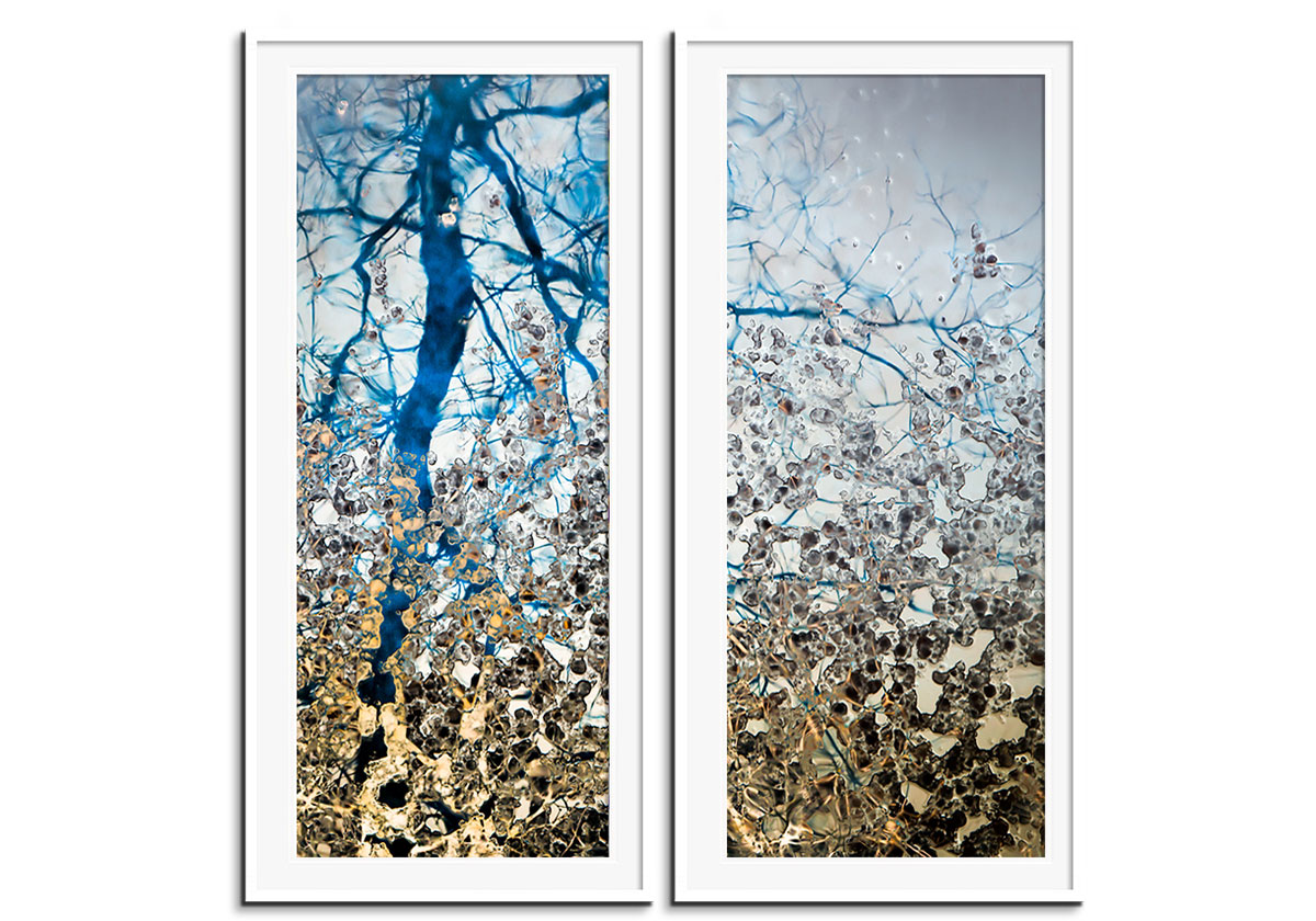 Winters Solace 2 - Diptych by 