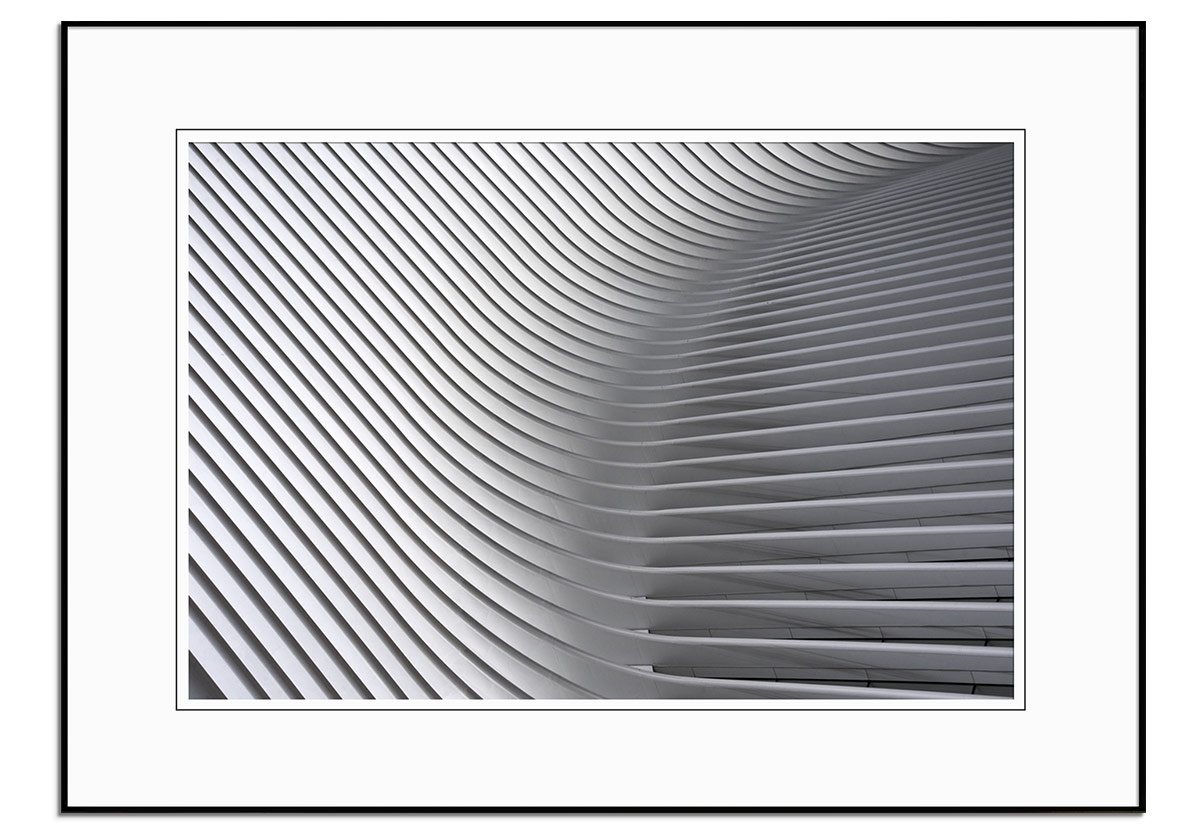 Calatrava Curves by 