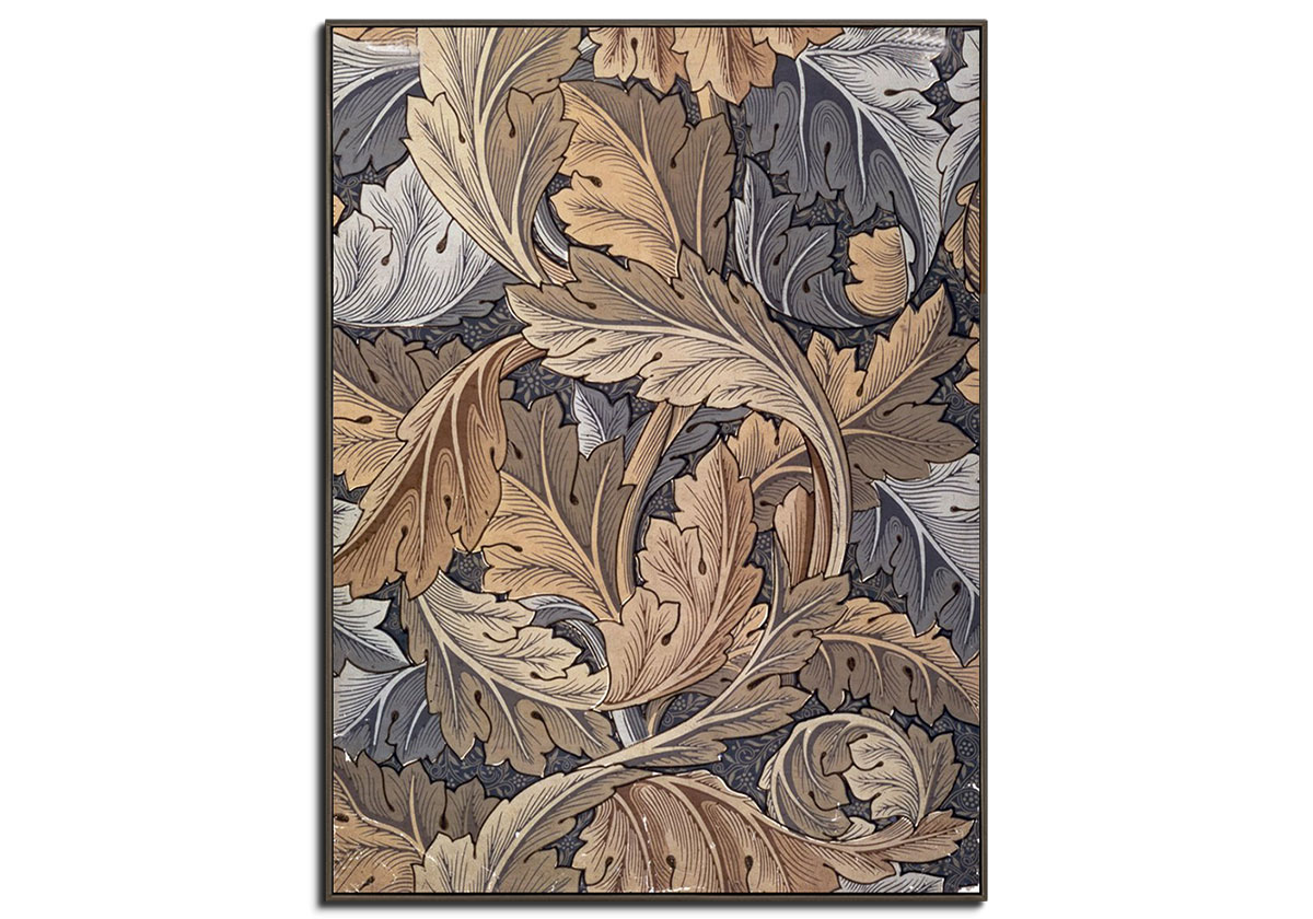 Acanthus by 