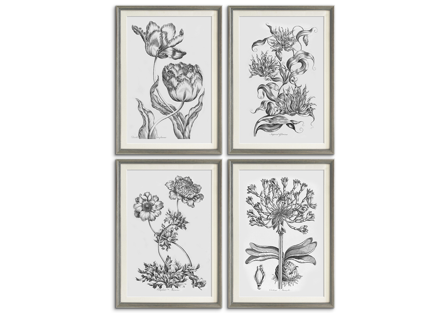 Vintage Botanical Collection by 