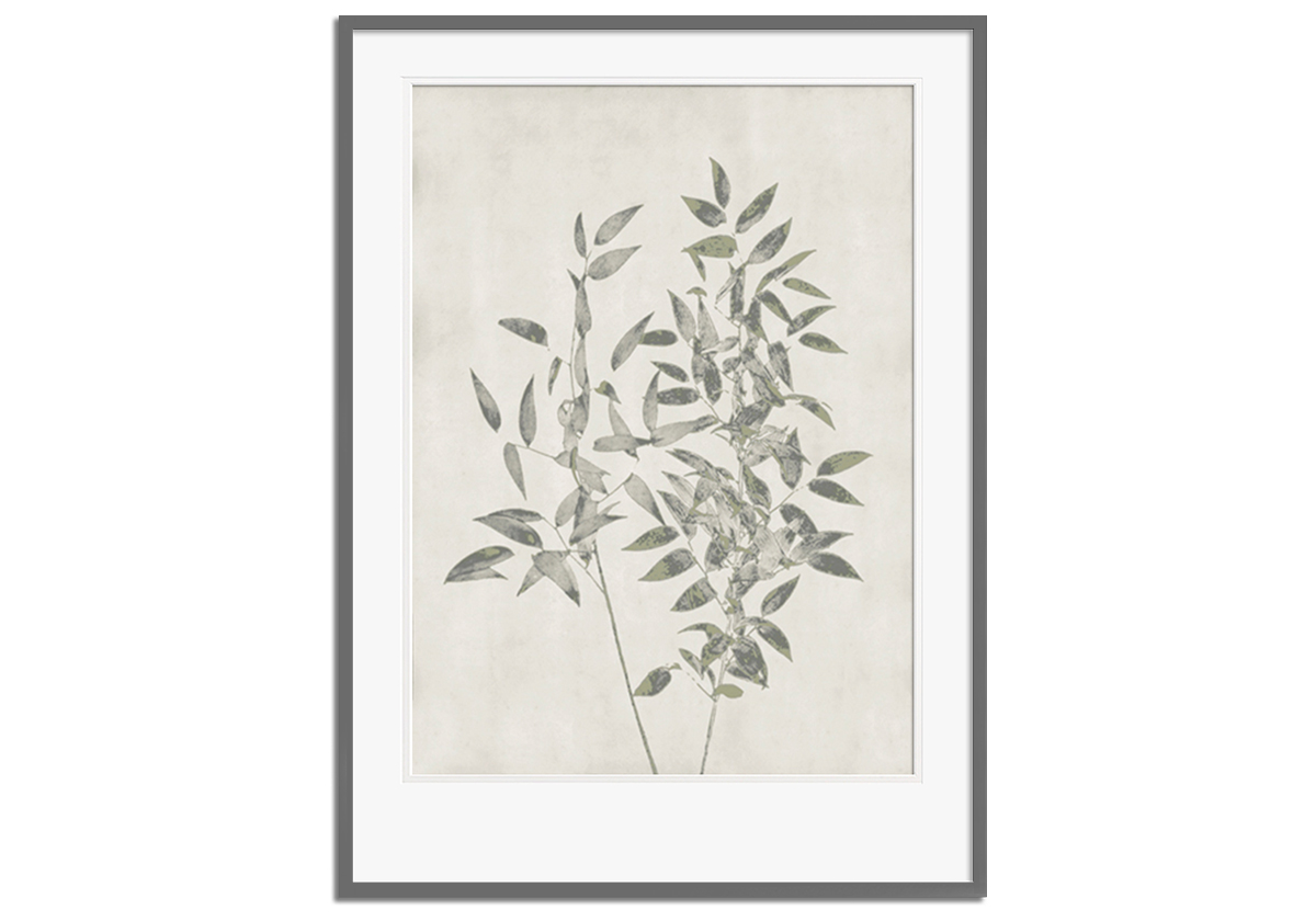 Floral Wild - Ruscus by 