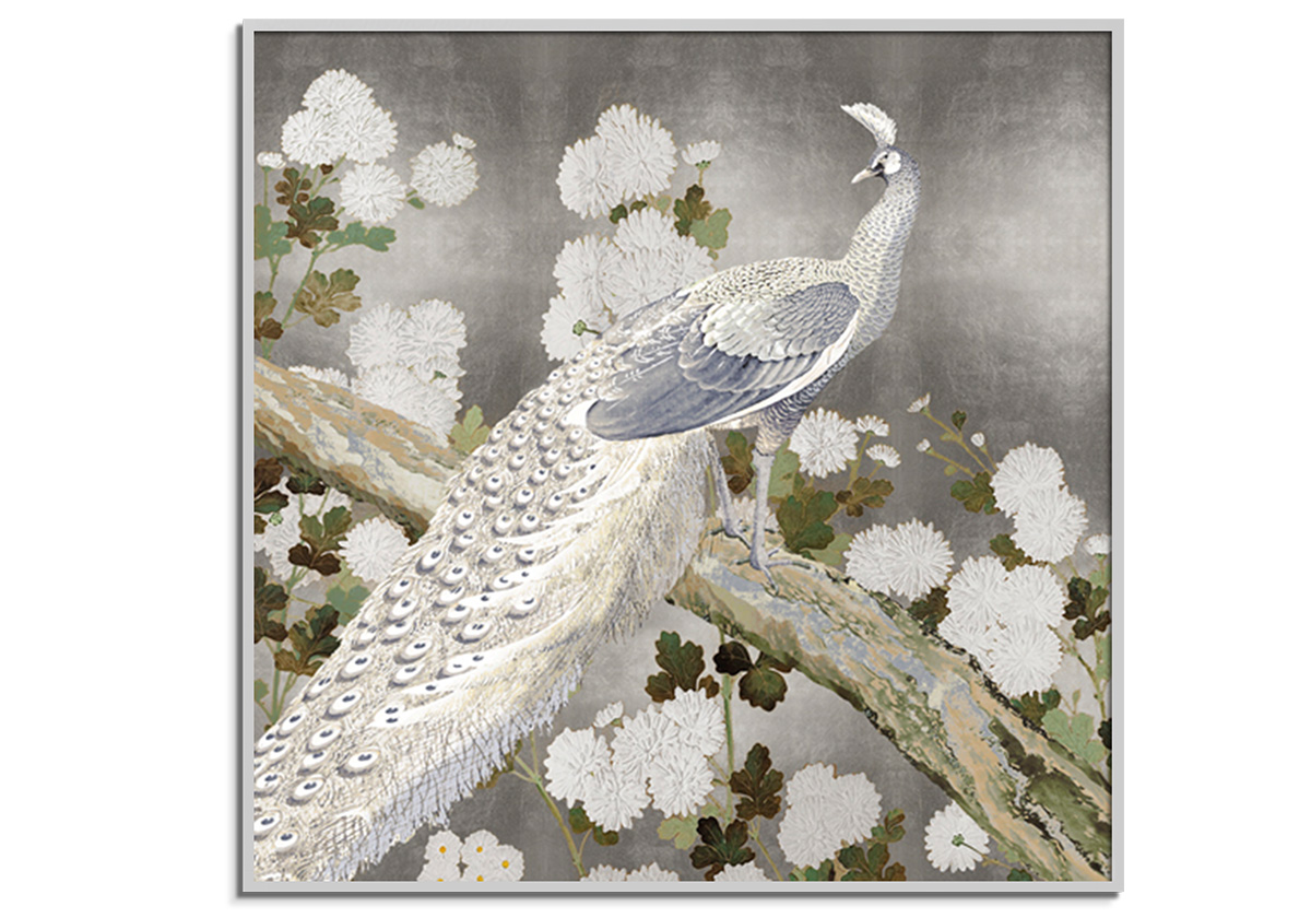 Silver Peacock by 