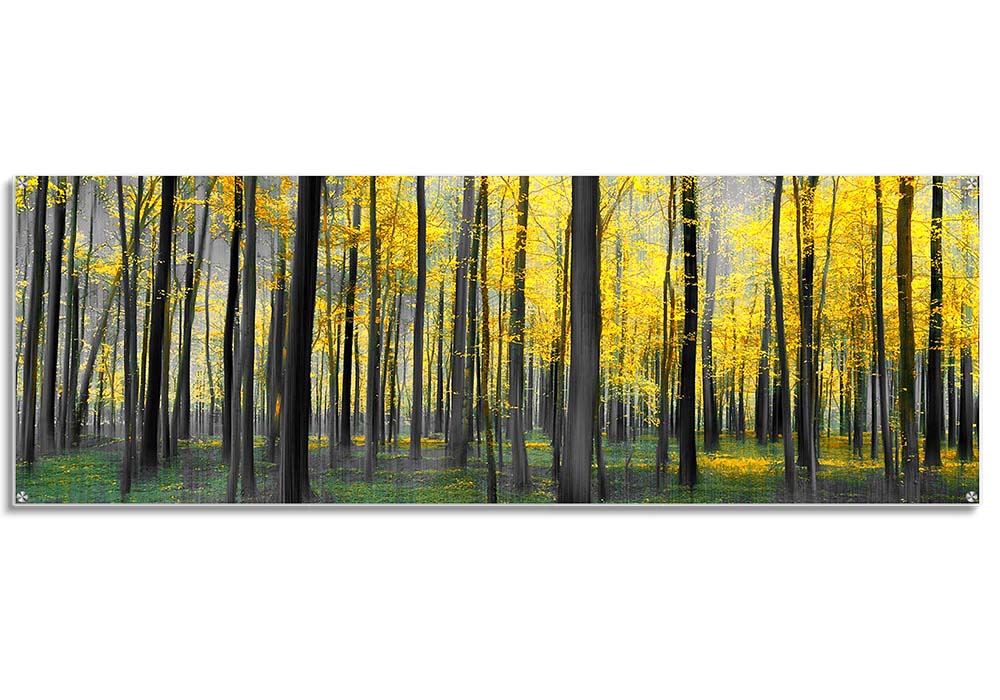 Acrylic print - Trees series  by 