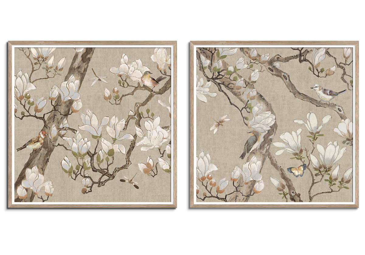 Magnolia Bloom & Blossom by 