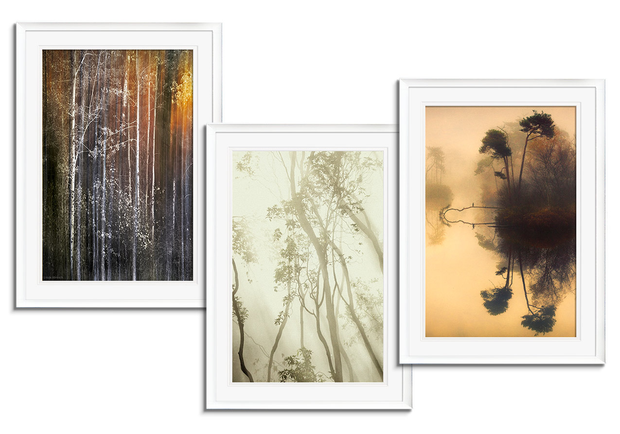Abstract Nature Collection by 