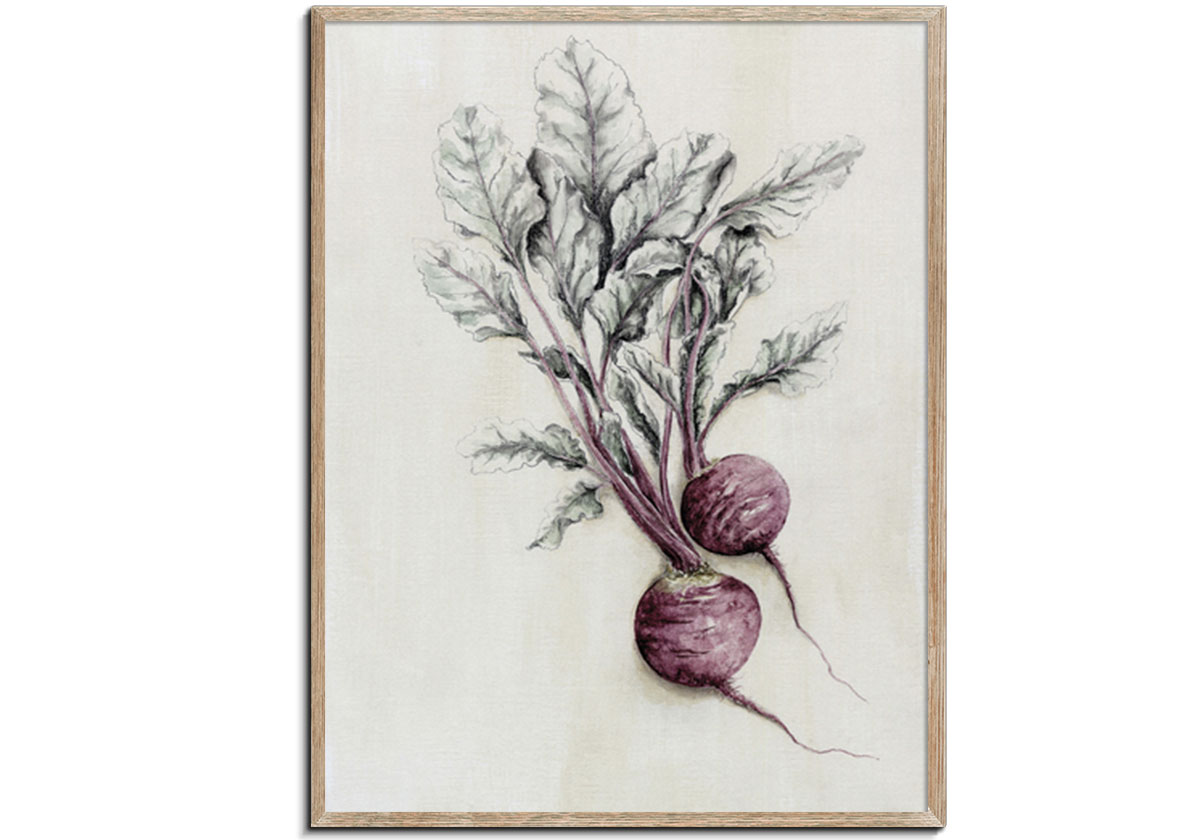 Beetroot by 