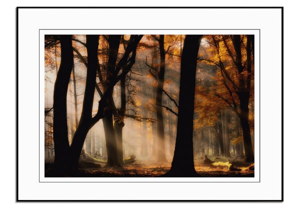 Autumn Light by Jan Paul Kraaij