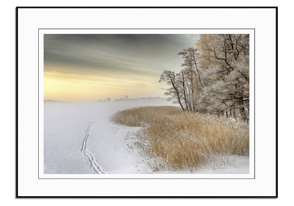 Misty Winter Morning by Keijo Savolainen