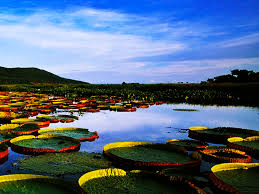 بانتانال - الصورة من موقع paradiseintheworld